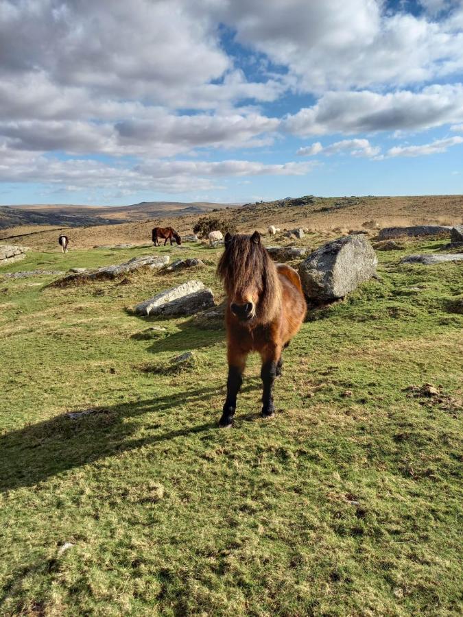 Dartmoor Inn Princetown Εξωτερικό φωτογραφία